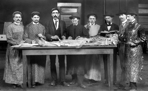 estudiantes de medicina examinan un cadáver en 1895