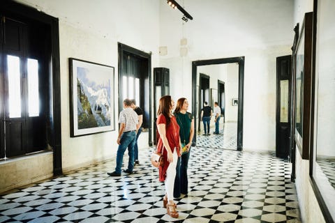 Group of friends admiring artwork in art gallery