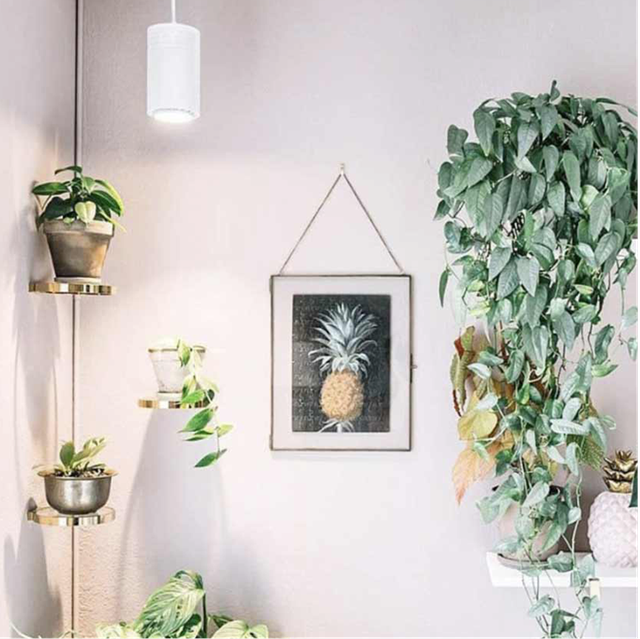 Grow plant indoor light