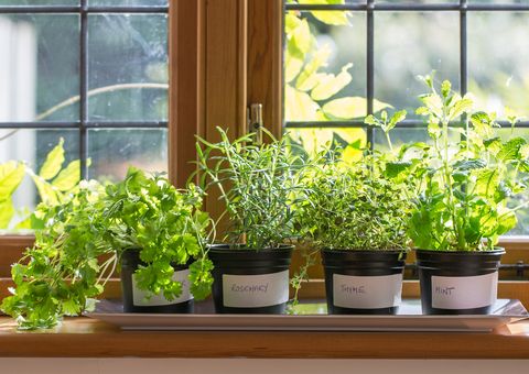 Burgon & Ball Pack of 2 Window Box or Herb Salad Gardening Planting Bags