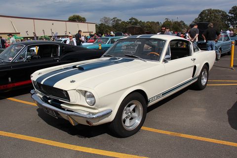1966 shelby gt350