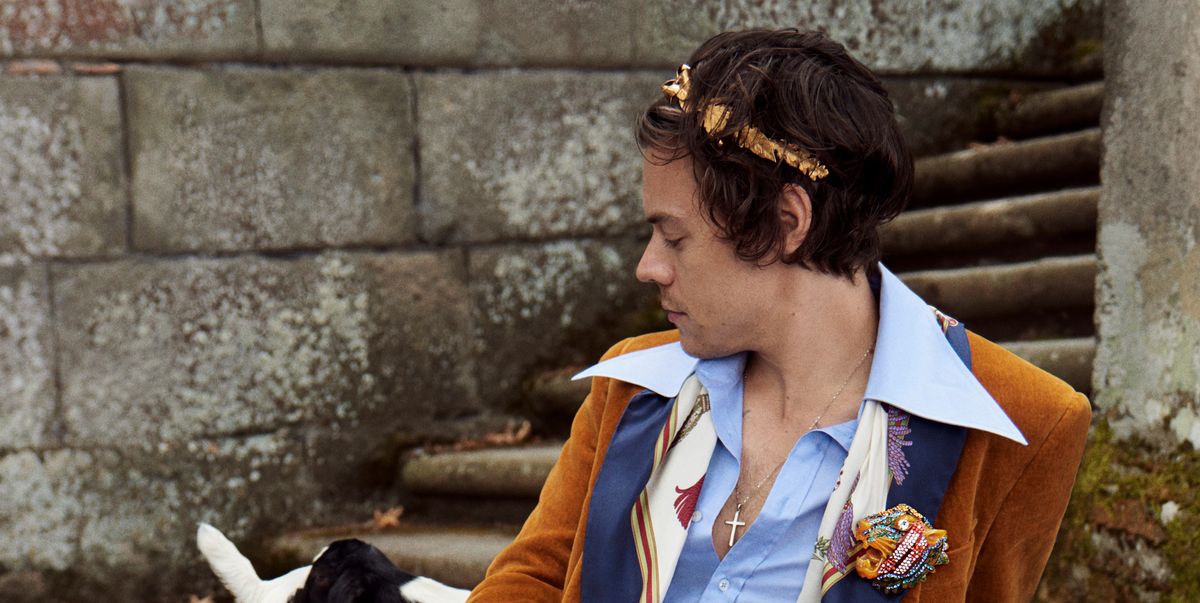 Harry Styles Snuggling Animals for Gucci Is the News Cycle 