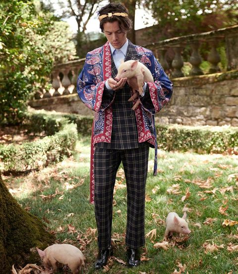 tortur tyveri Tilmeld Harry Styles Looks Very Hot Posing With Baby Farm Animals for Gucci's  Cruise Men's Tailoring Campaign