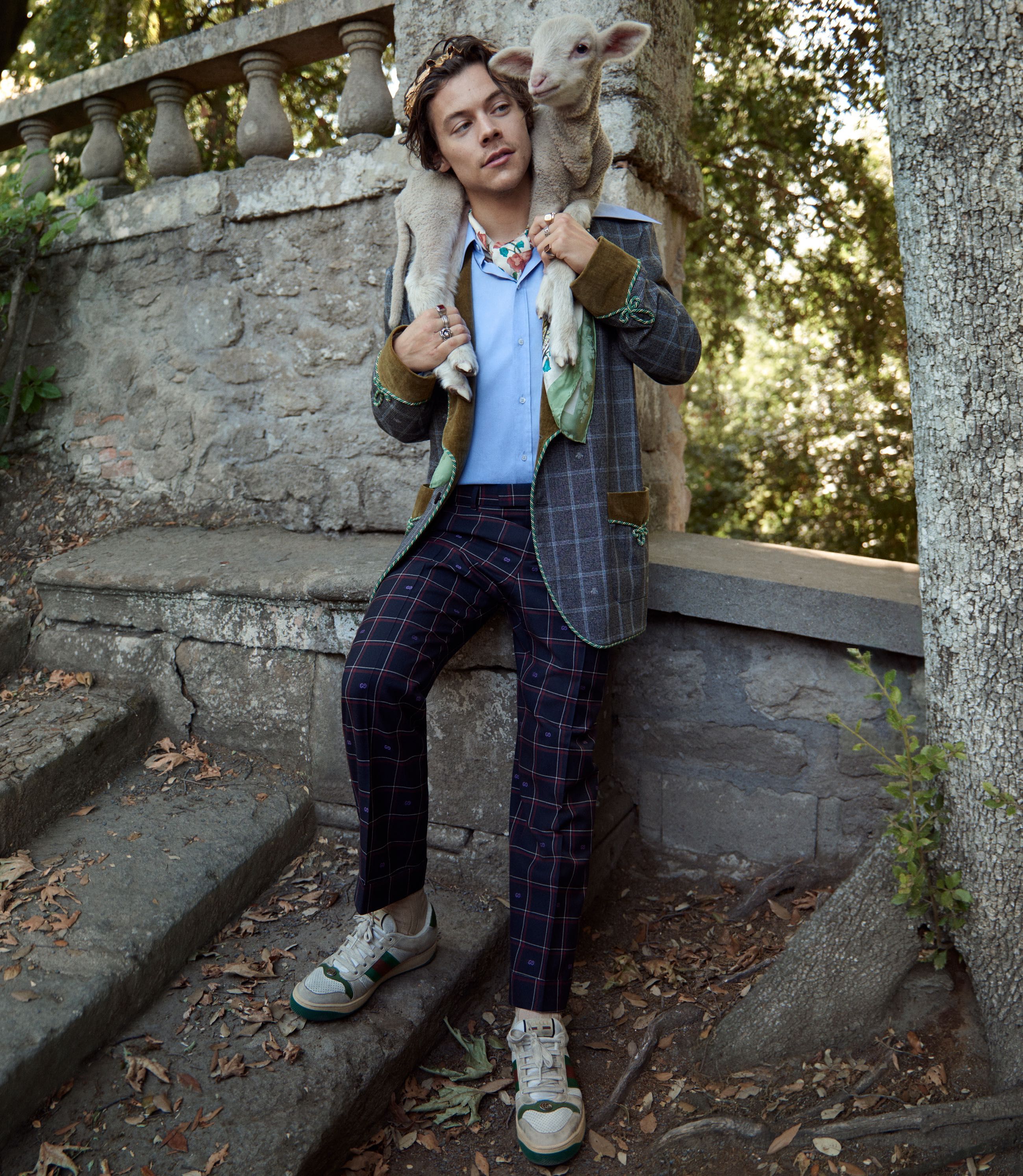 harry styles gucci tailoring