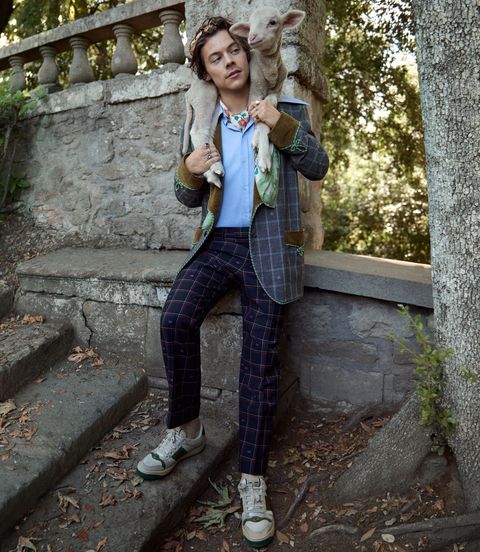 Harry Styles farmyard animals for the new Gucci campaign