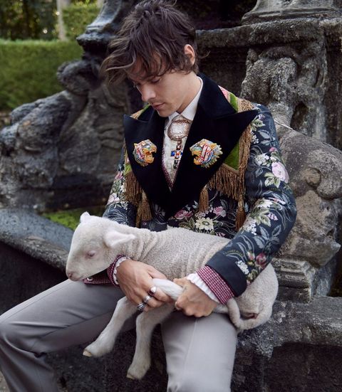 tortur tyveri Tilmeld Harry Styles Looks Very Hot Posing With Baby Farm Animals for Gucci's  Cruise Men's Tailoring Campaign
