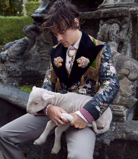 blotte Hospital eventyr Harry Styles cuddles farmyard animals for the new Gucci campaign