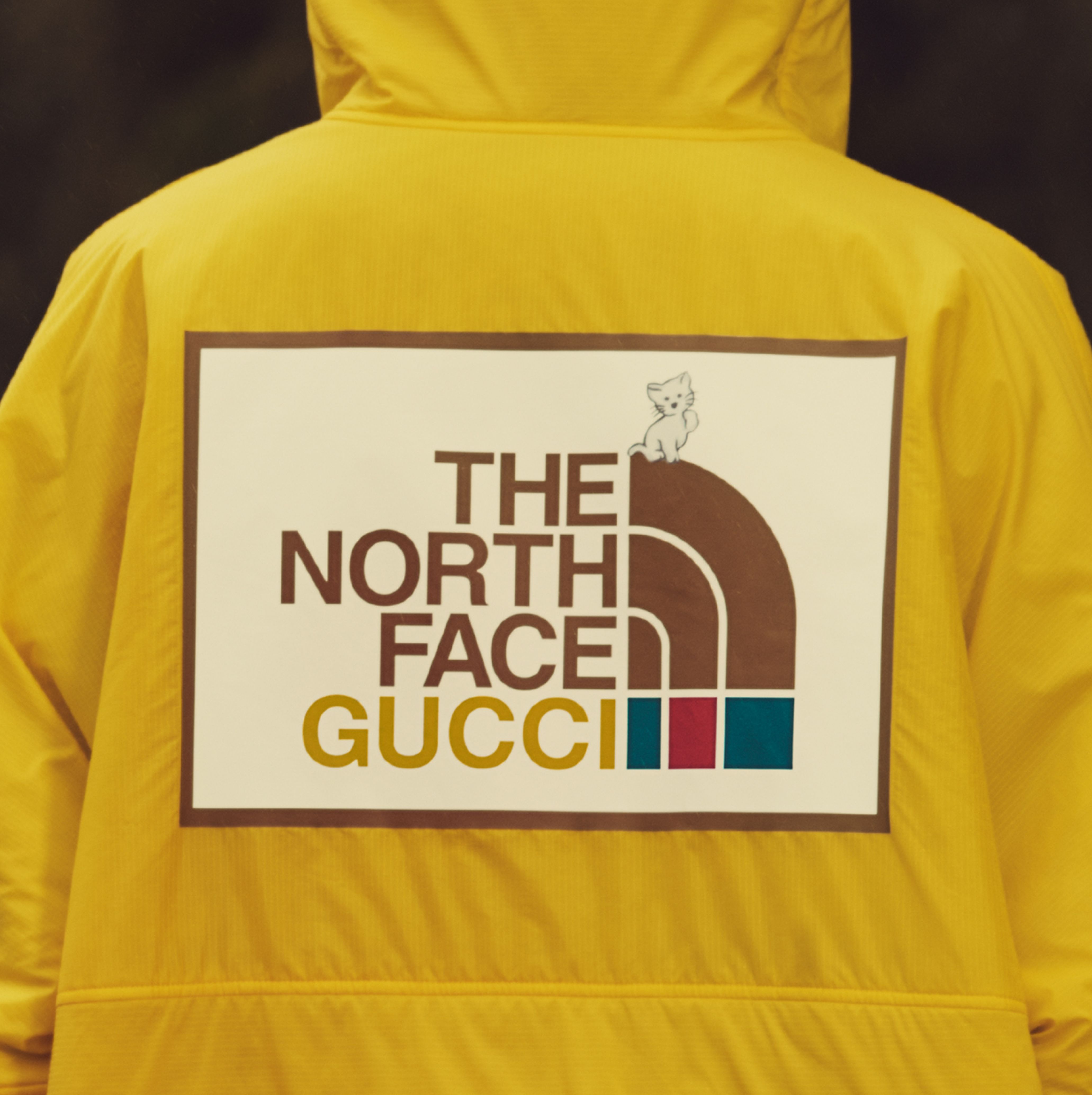 The North Face x Gucci's Second Collaboration Has Landed