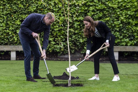Los duques de Cambridge se meten a jardineros guillermo de inglaterra y kate middleton plantan un árbol