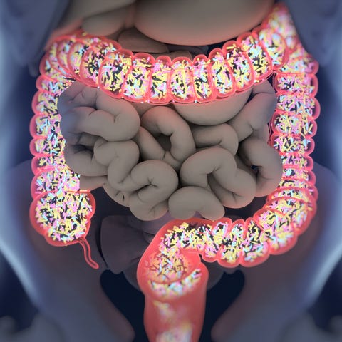 What Is A Fecal Transplant Patient S Death Linked To The What Is A Fecal Transplant Patient S Death Linked To The