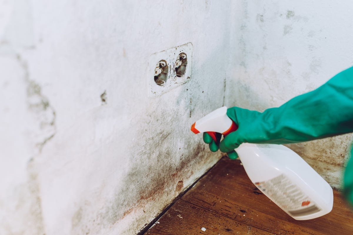 6-ways-to-prevent-mould-in-your-home-get-rid-of-mould-on-walls