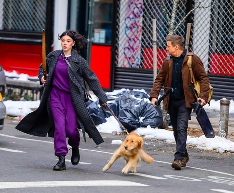 hailee steinfeld and jeremy renner on the set of hawkeye with jolt as lucky the pizza dog