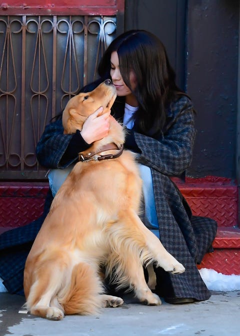 hailee steinfeld with jolt the dog on the set of hawkeye