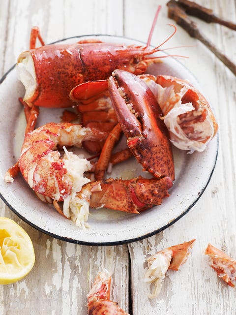 Half-eaten Lobster