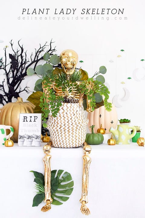 plant lady skeleton