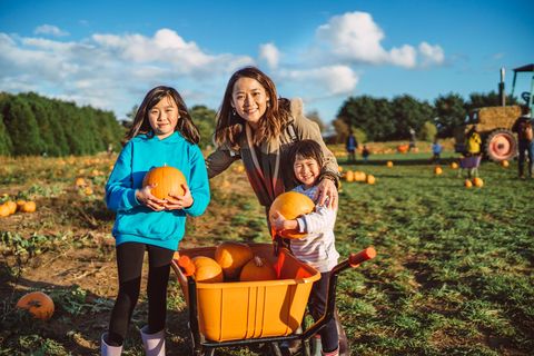 mom and two daughters picking pumpkins in the pumpkin patch joyfully on a blue sky day