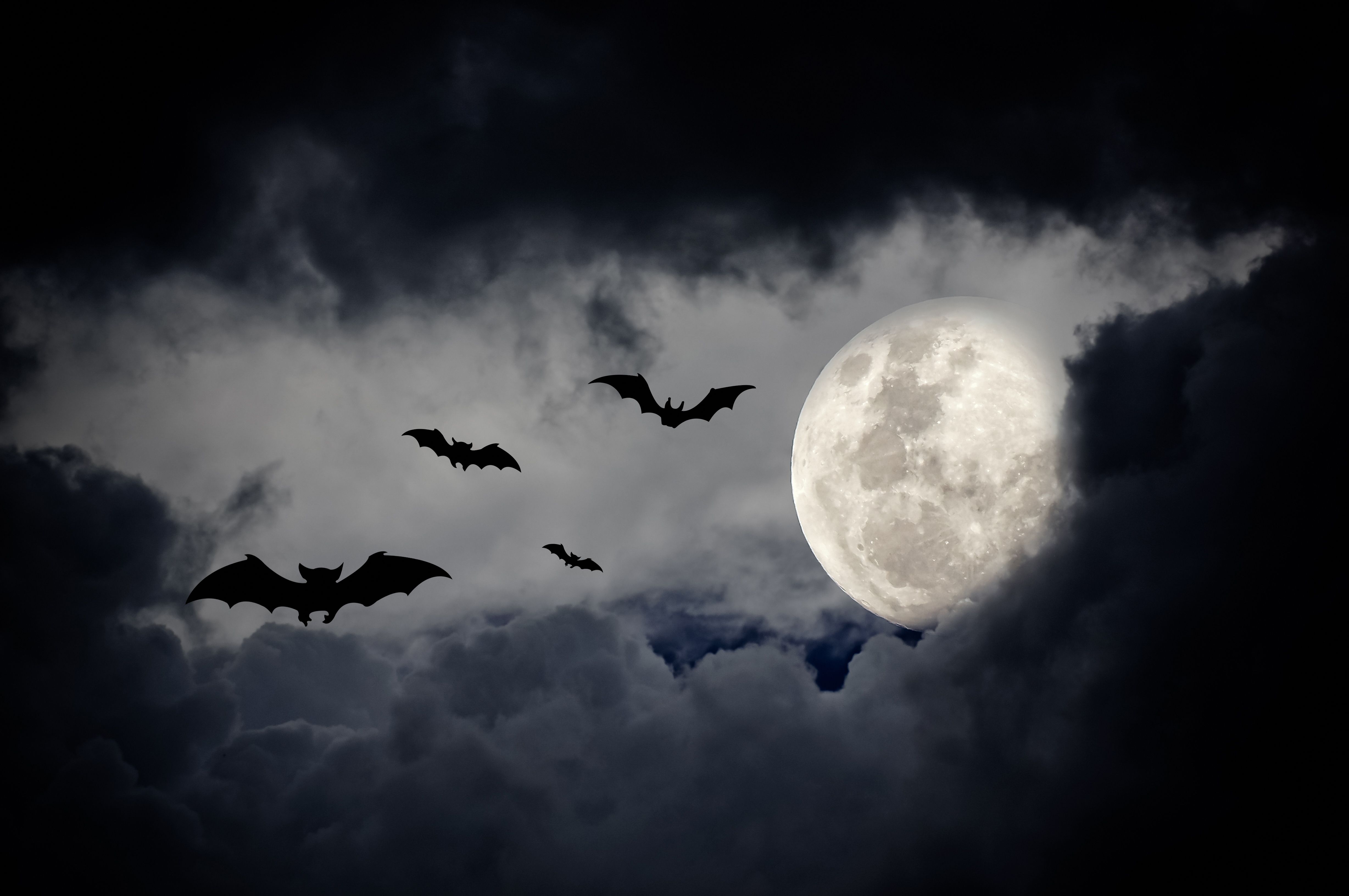 two moon park halloween 2020 37 Best Halloween Quotes 2020 Spooky Sayings To Wish A Happy Halloween two moon park halloween 2020