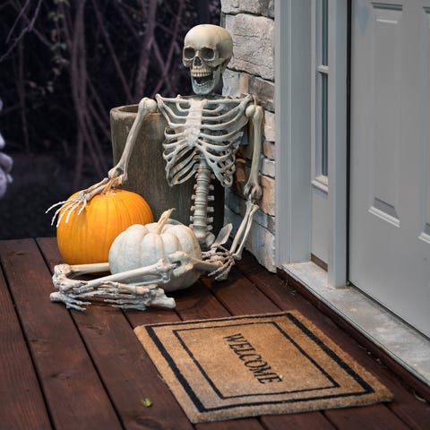 halloween-drinking-games_Name That Bone halloween drinking games name that bone