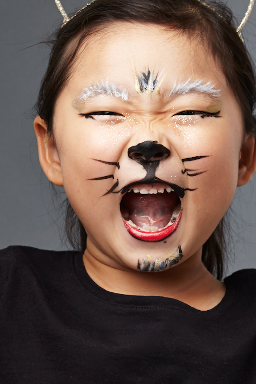 35 Halloween Face Paint Ideas Fun Face Painting For Kids Adults