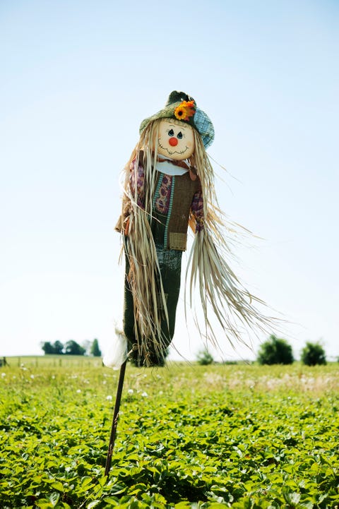 halloween face paint scarecrow