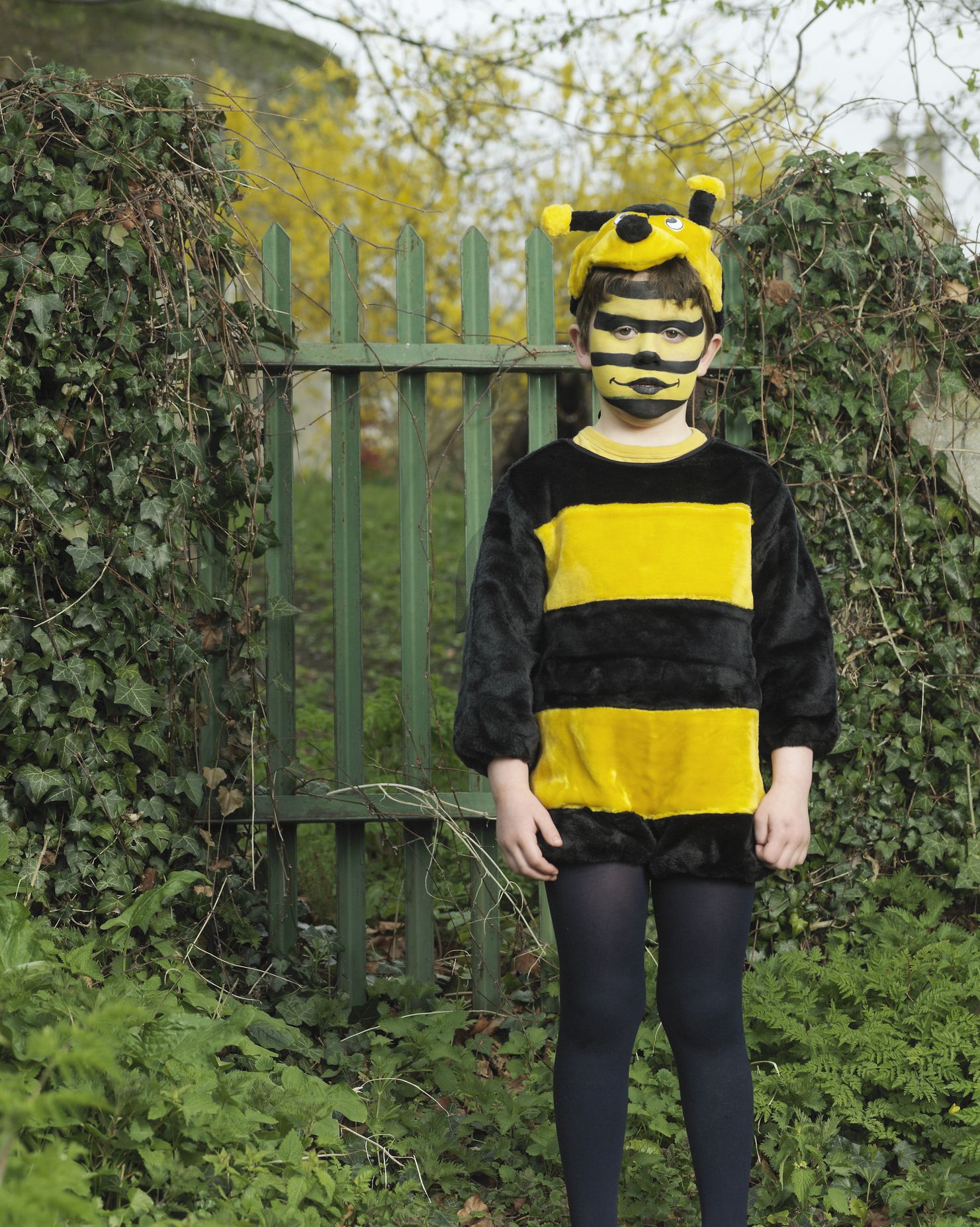 bumblebee costume makeup