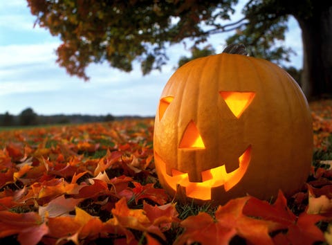 pumpkin lantern on leafy grass, closeup