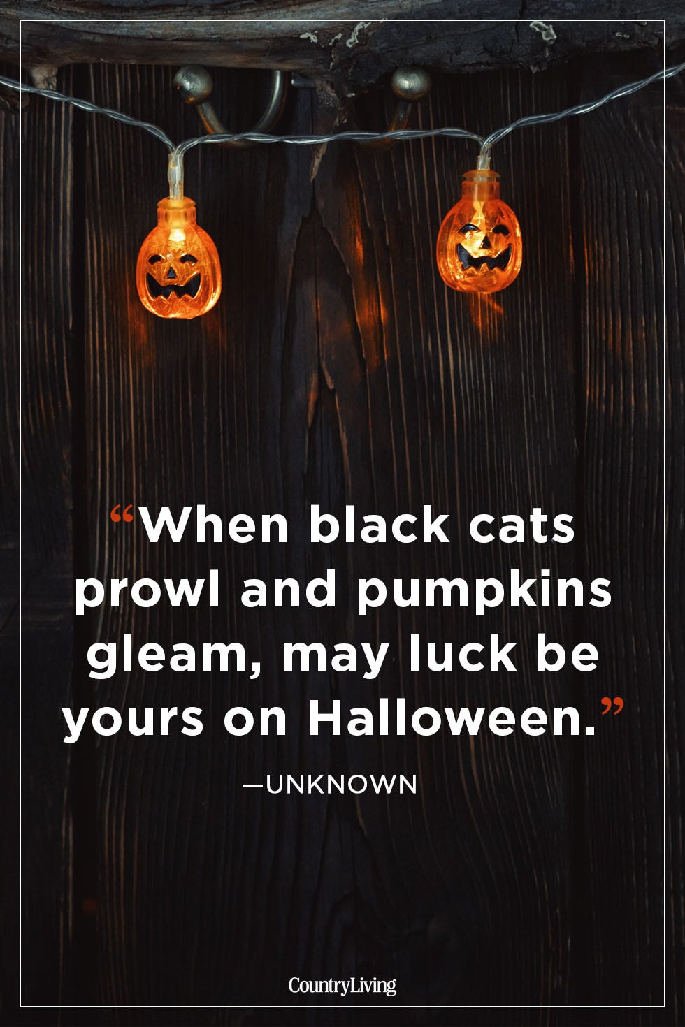 20 Happy Halloween Quotes - Best Spooky Halloween Quotes and Sayings