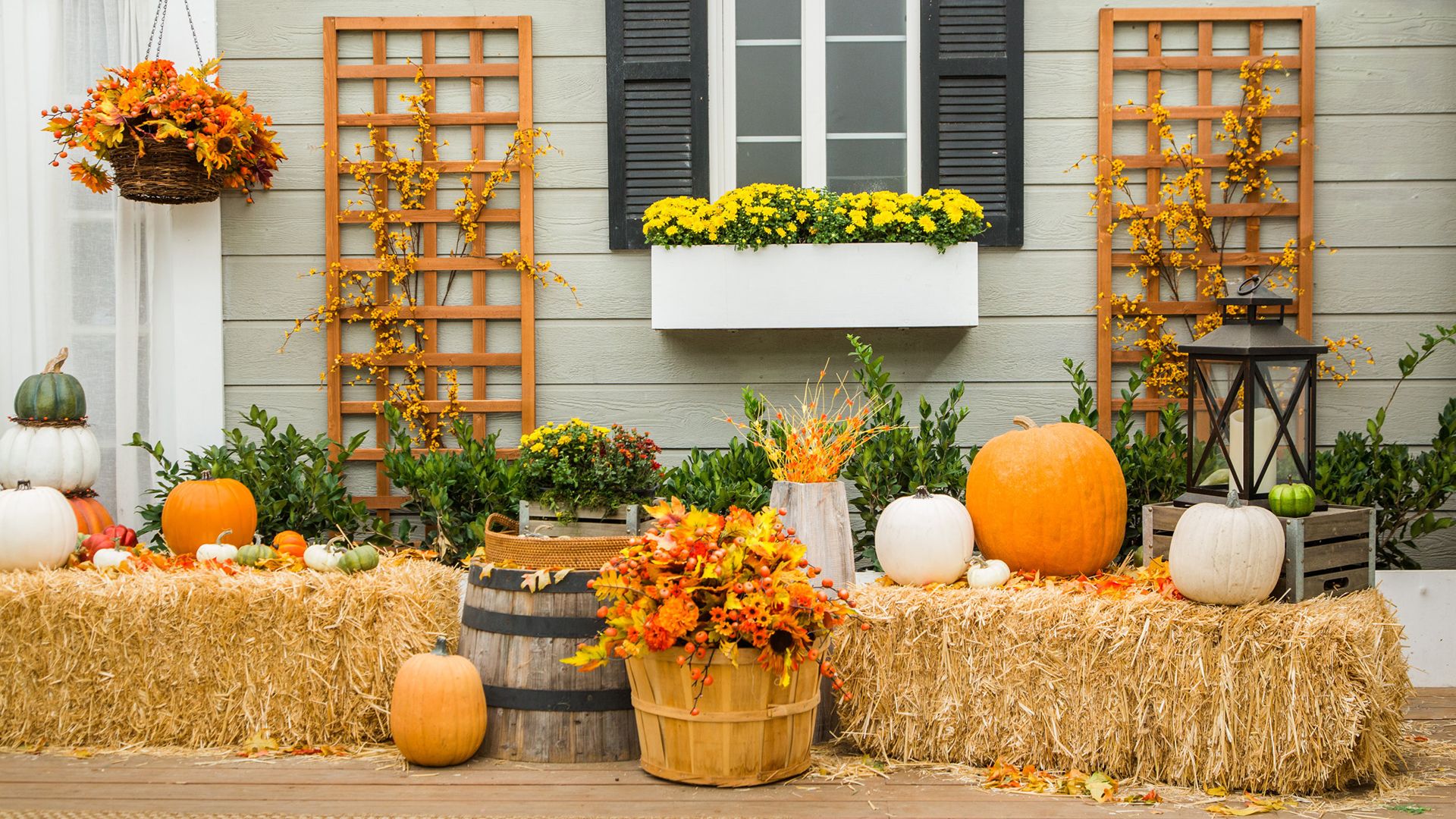 halloween virtual backgrounds for zoom