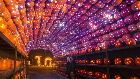 this is a view of the great jack o'lantern blaze at van cortlandt manor in croton on hudson on september 27, 2018  photo by tom nycz
