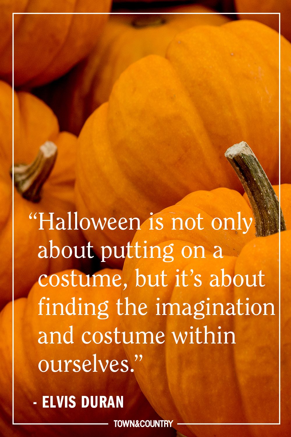 Image result for halloween quotes