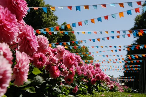 rhs hampton court palace garden festival 2019