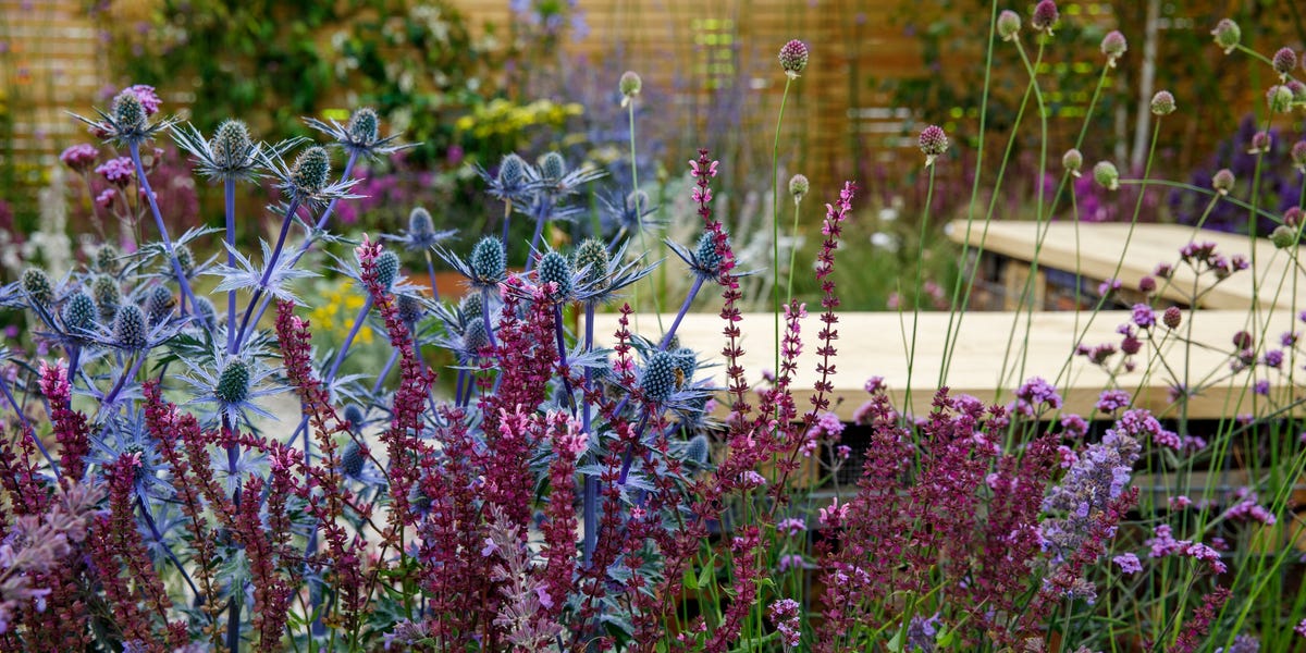 10 Ideas To Boost Your Garden’s Wellbeing Potential