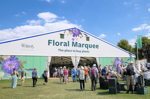 people visiting the huge floral marquee at rhs hampton court palace garden festival formerly hampton court flower show