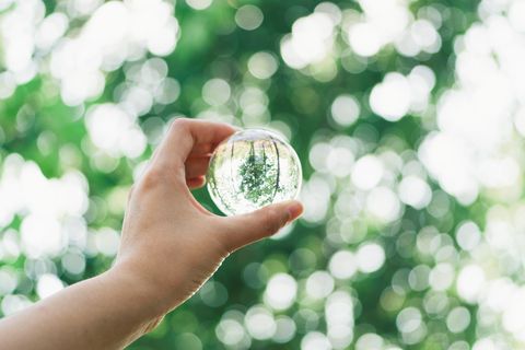 hand holding crystal ball against green trees bokeh