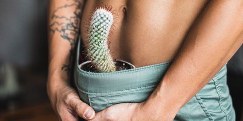 Cactus, Hand, Skin, Joint, Arm, Botany, Finger, Plant, Flowerpot, Organism, 