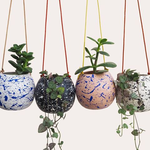 17 Best Hanging Plant Pots and Wall Planters For Indoor Spaces