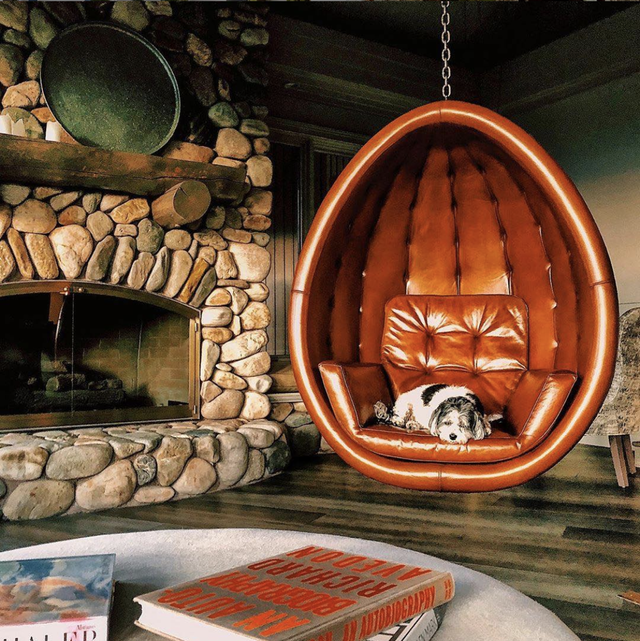 13 Best Hanging Egg Chairs - Indoor And Outdoor Hanging Chairs