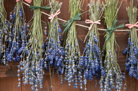 lavendel dried trocknen seeds mygarden