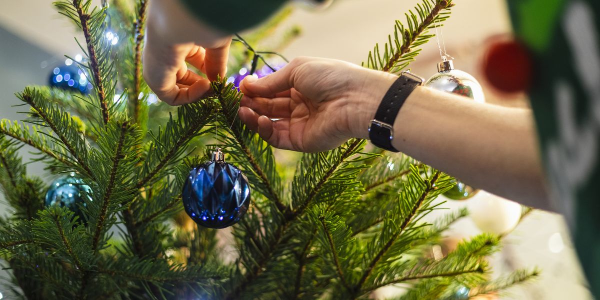 The best places to buy a real Christmas tree online