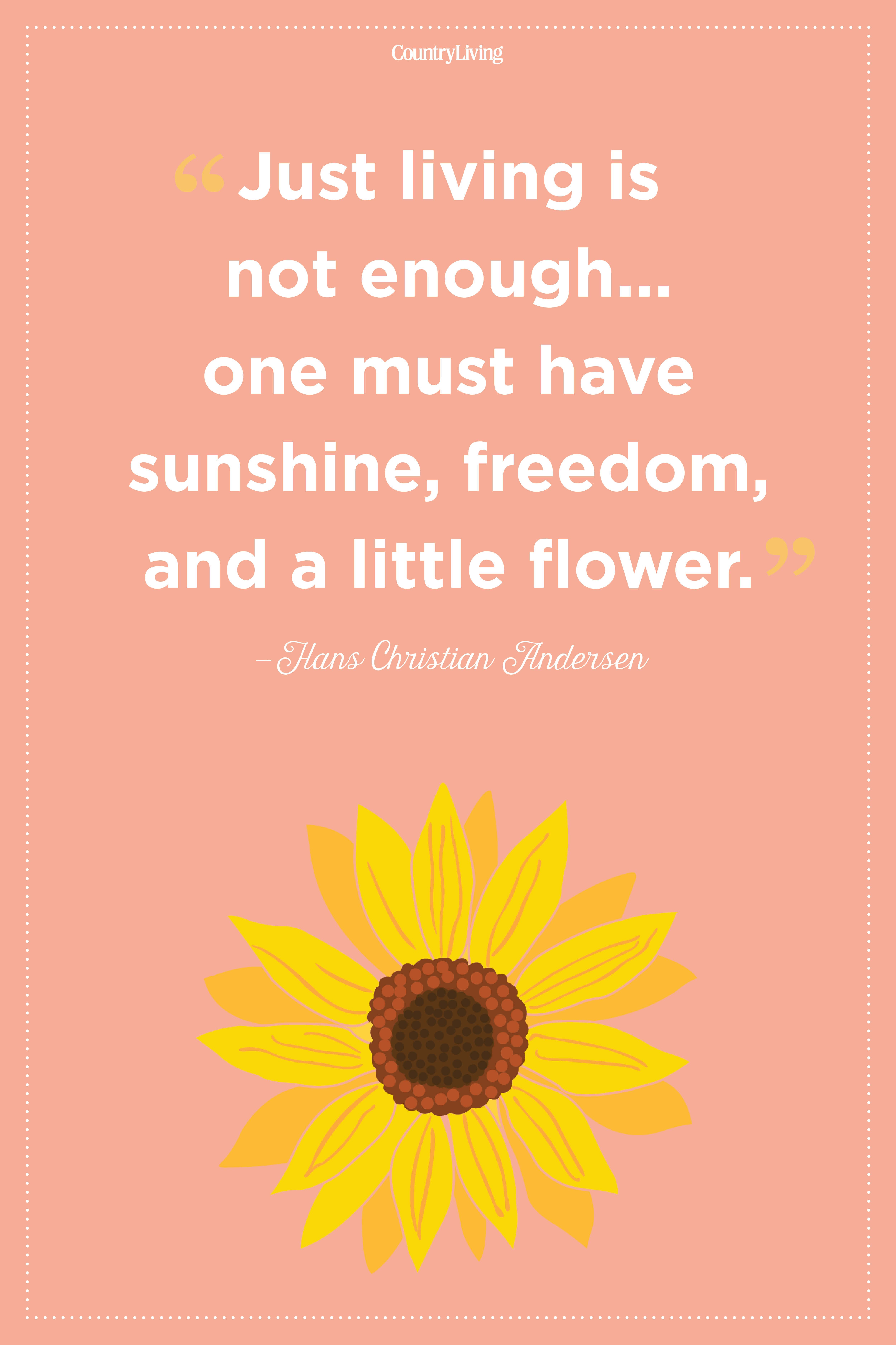 20 Inspirational Flower Quotes Cute Flower Sayings About Life And Love