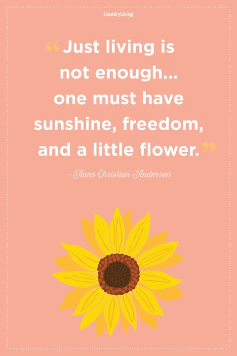 20 Inspirational Flower Quotes - Cute Flower Sayings About Life and Love
