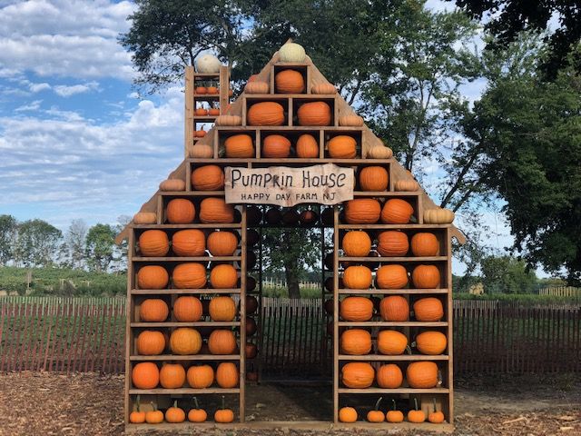 20 Best Pumpkin Patches In The US - Top Pumpkin Patch Near Me