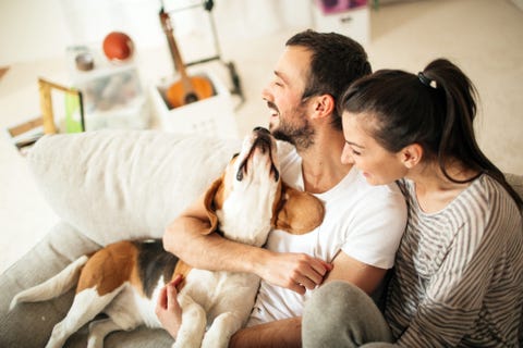 Happy family Happy family