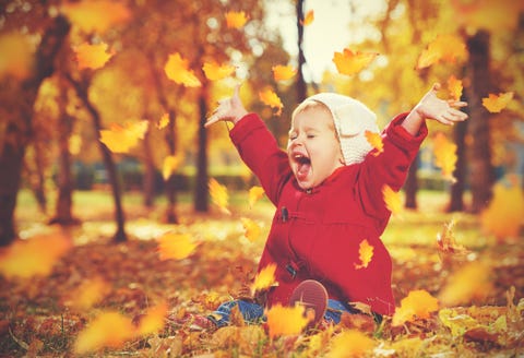 100 Best Fall Instagram Captions Cute And Funny Fall Photo Captions