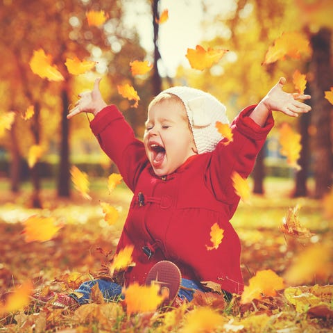 100 Best Fall Instagram Captions Cute And Funny Fall Photo Captions 100 Best Fall Instagram Captions Cute And Funny Fall Photo Captions