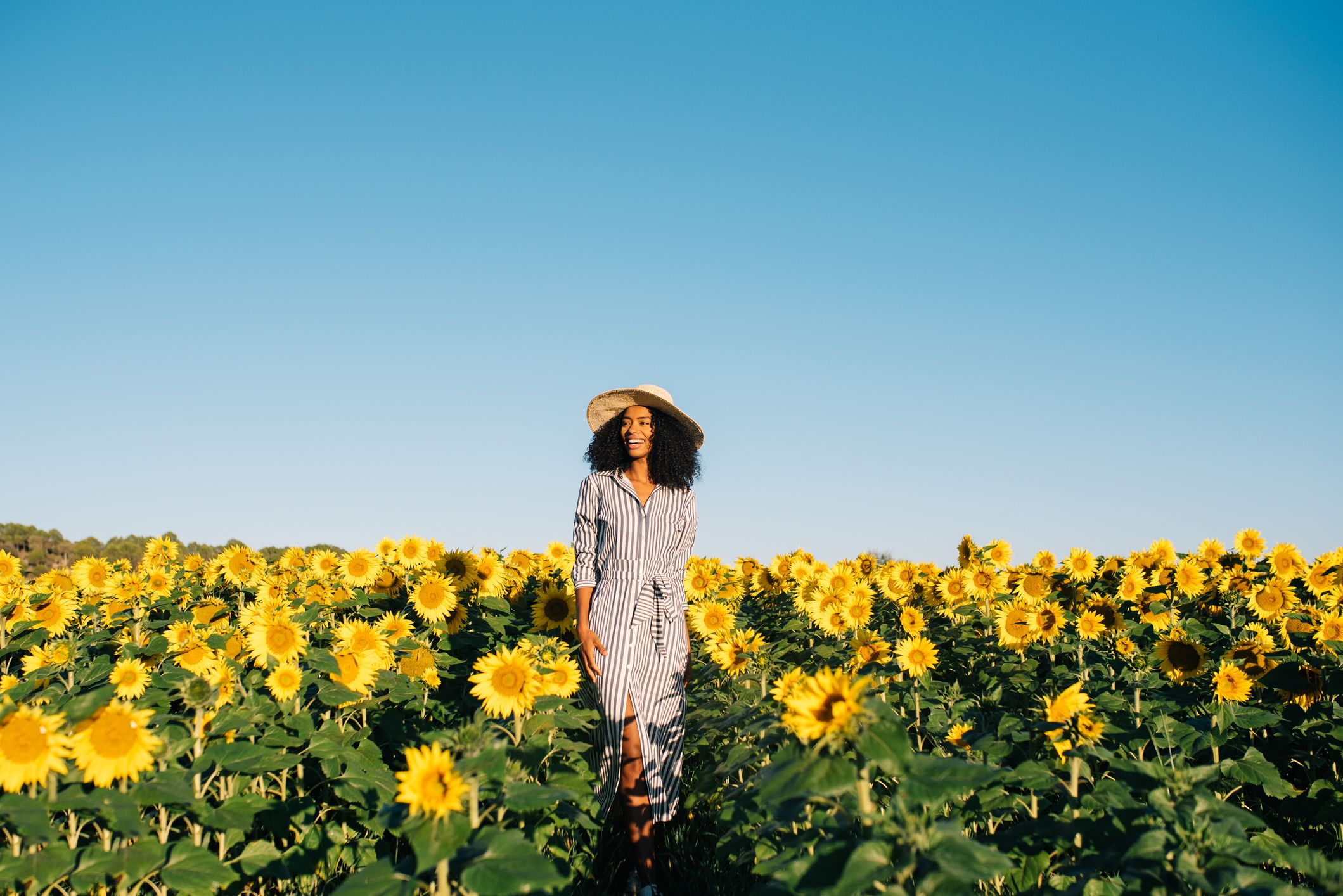 seed sunflower dress