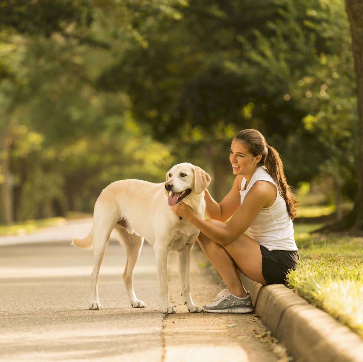 Hardlopen met je hond is een met deze hardloopriem, tuig, verlichting en benodigdheden