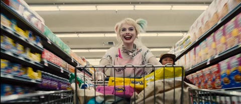 aves de presa, harley quinn