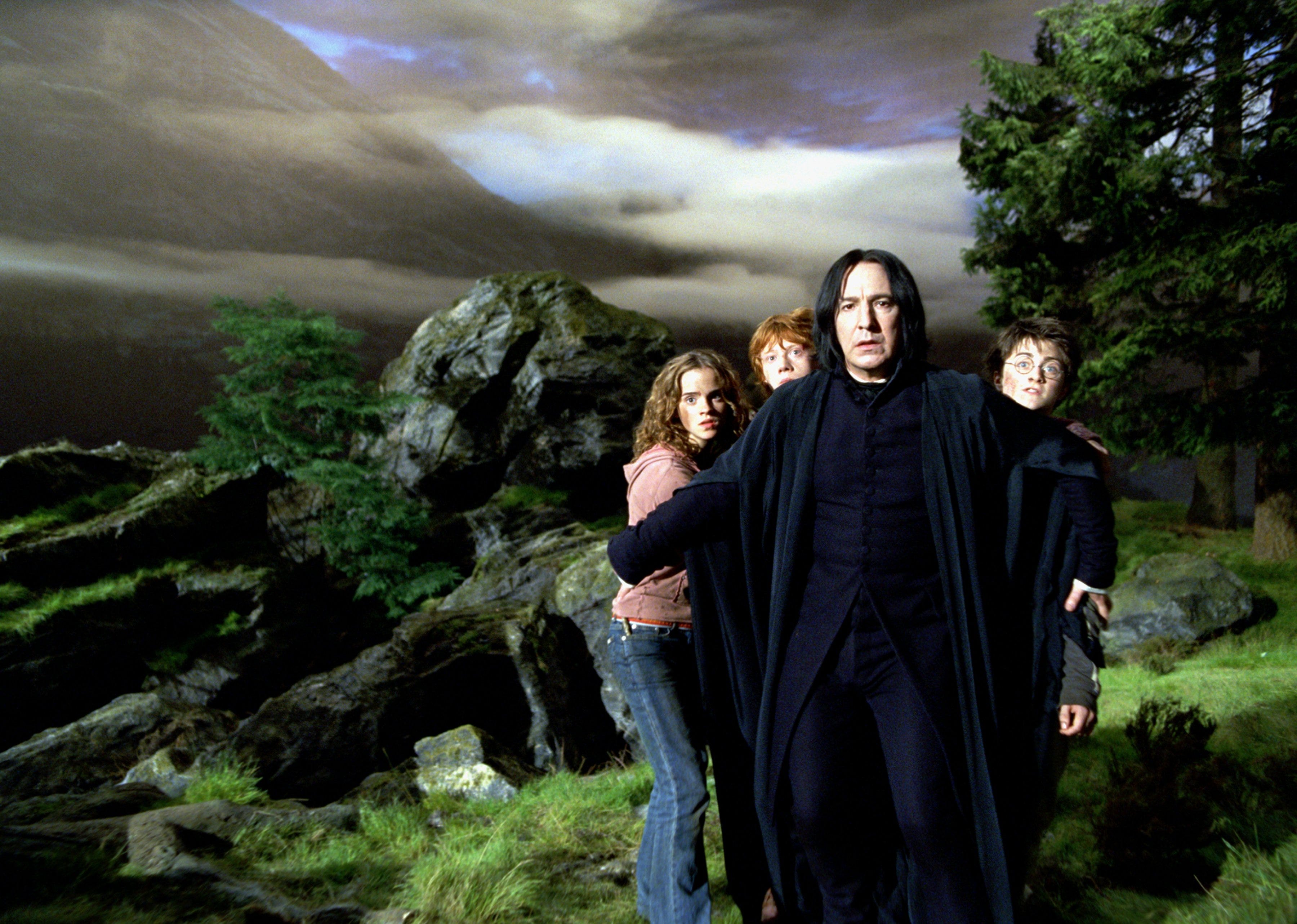 un fotograma de harry potter y el prisionero de azkaban, con hermione, ron, snape y harry