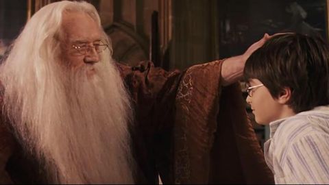 harry potter piedra filosofal dumbledore